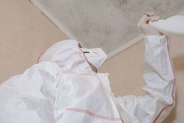 Best Mold Damage Repair  in Whitefish Bay, WI