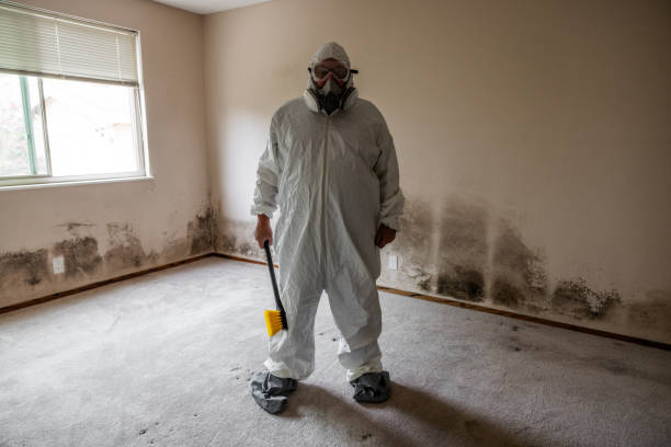 Best Residential Mold Removal  in Whitefish Bay, WI